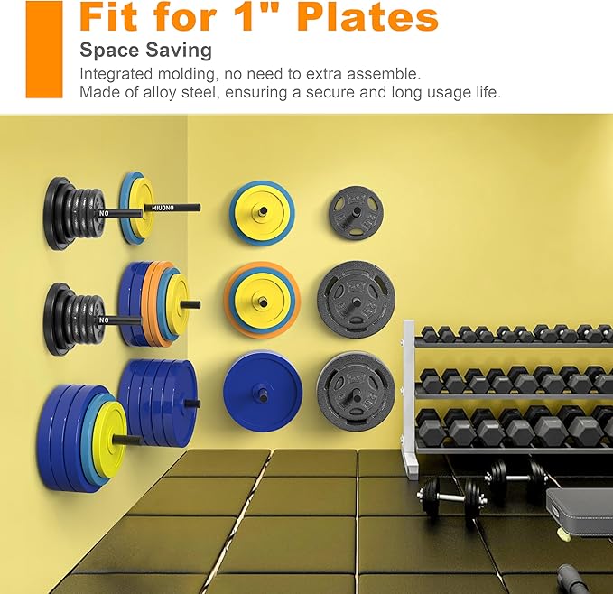 Weight Plate Holder, Wall Mounted Weight Rack Storage