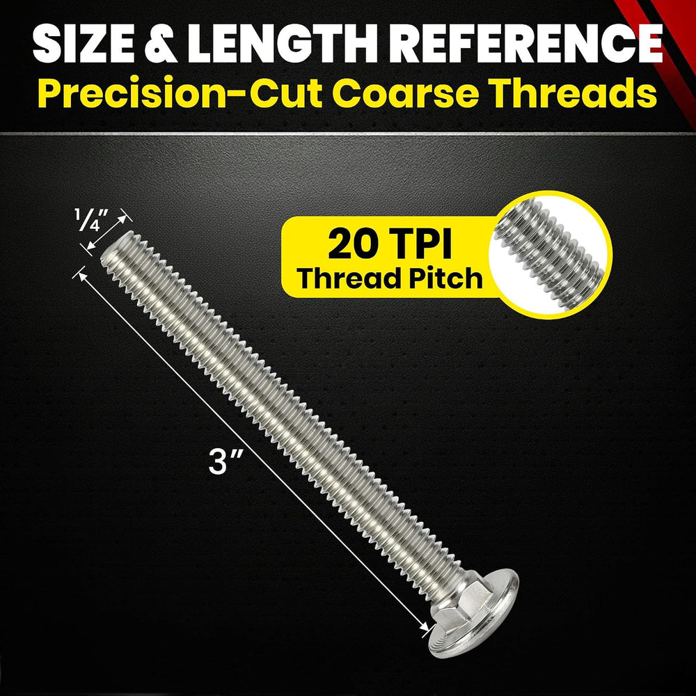 Chenango Supply 1/4-20 x 3 Stainless Steel Carriage Bolts