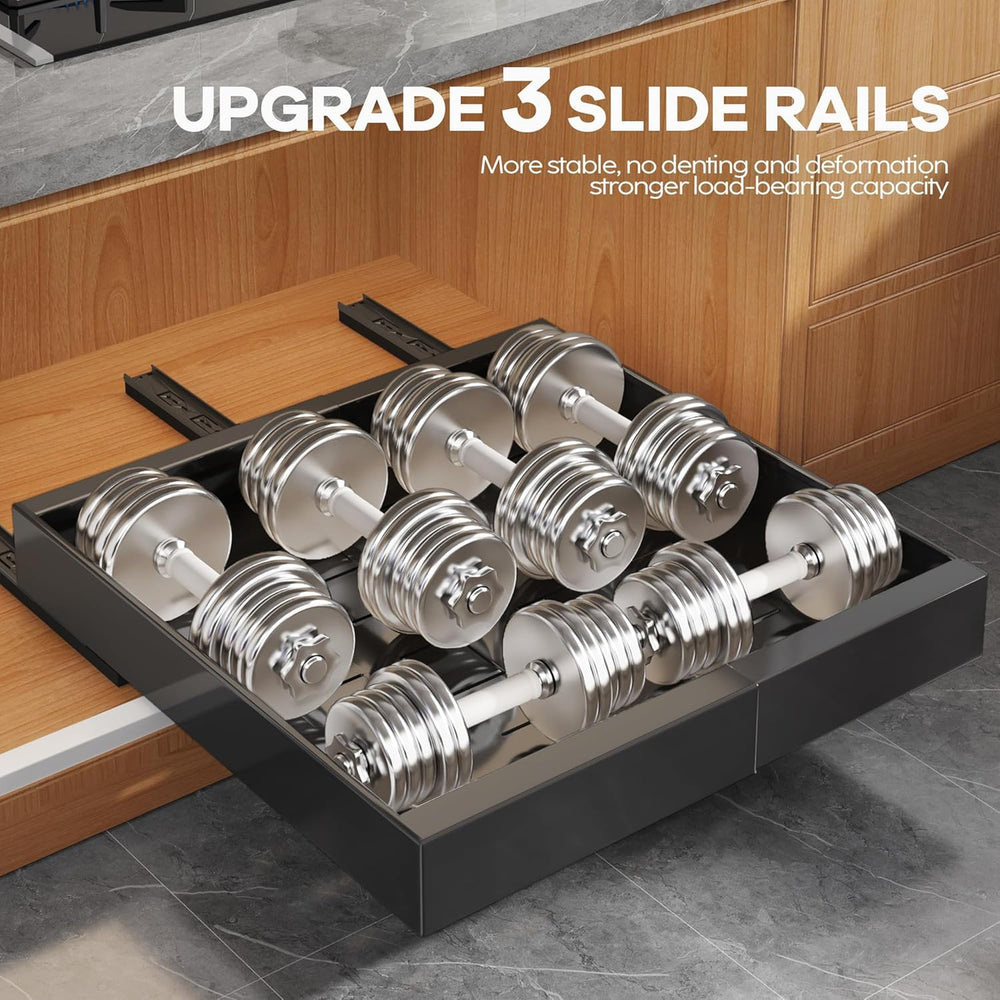 Seinloes 2Pack Expandable Pull Out Cabinet Organizer 21"Deep with Raisin...
