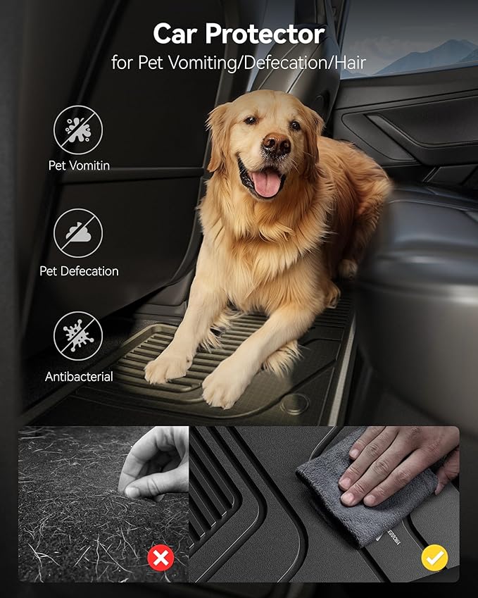 3W Floor Mats and Cargo Liner Fit