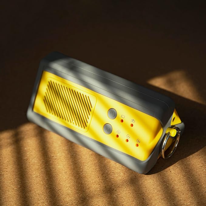 Airthereal PA1K-GO 1, 000mg/h Portable Ozone Generator